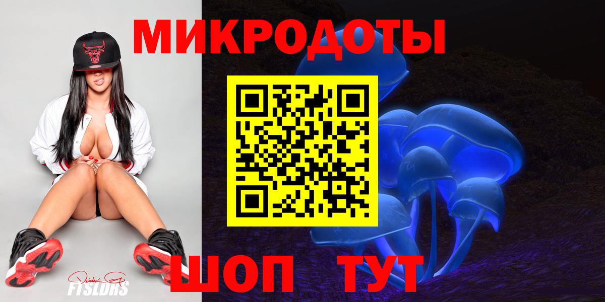 Псилоцибиновые грибы Psilocybine cubensis Павлово