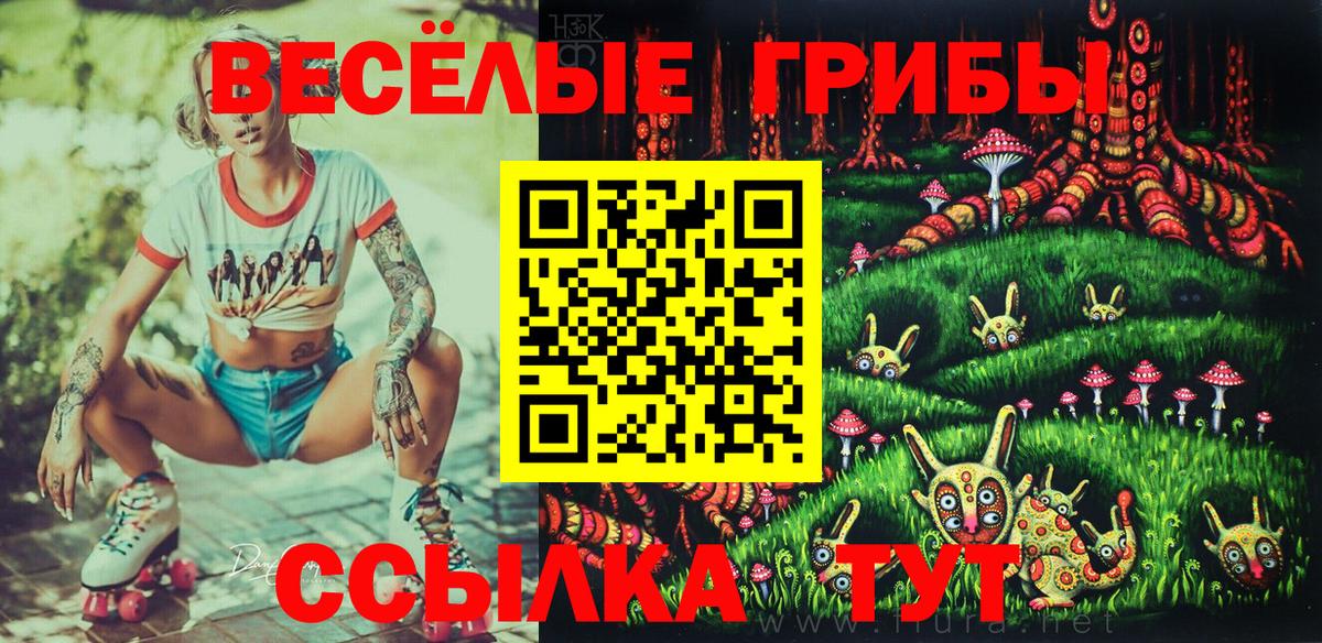 Павлово  Галлюциногенные грибы MAGIC MUSHROOMS  Вход с VPN 